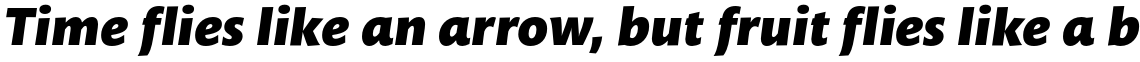 Mundo Sans Std Black Italic