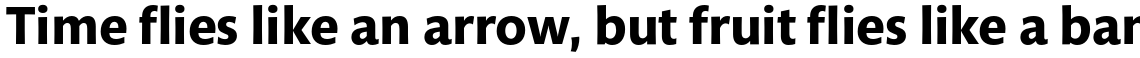 Mundo Sans Std Bold