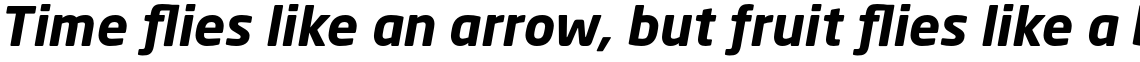 Neo Sans Std Bold Italic