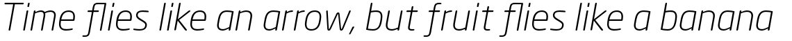 Neo Sans Std Light Italic