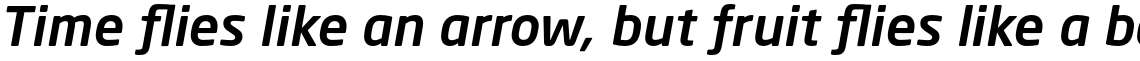 Neo Sans Std Medium Italic