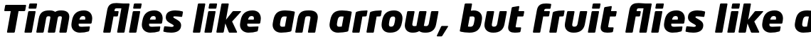 Neo Tech Std Black Italic
