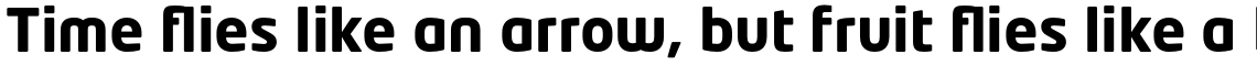 Neo Tech Std Bold