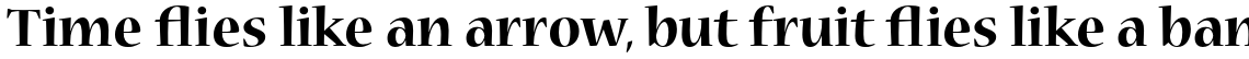 Nueva Std Bold