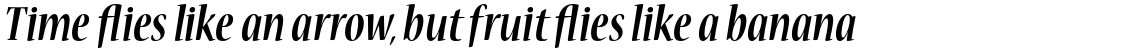 Nueva Std Bold Cond Italic