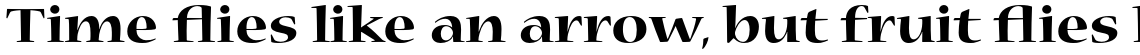 Nueva Std Bold Extended