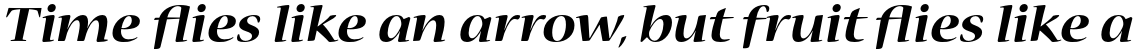 Nueva Std Bold Extended Italic