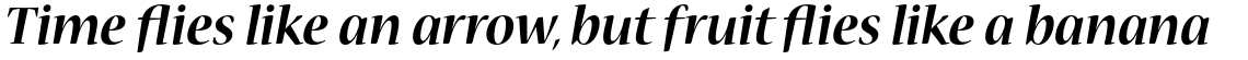 Nueva Std Bold Italic