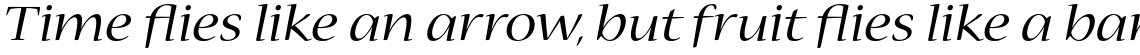 Nueva Std Extended Italic