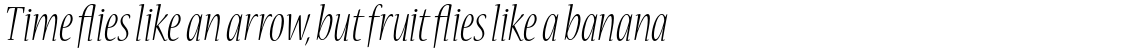 Nueva Std Light Cond Italic