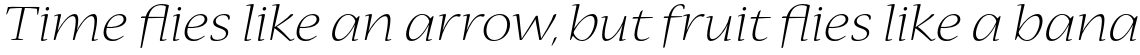 Nueva Std Light Extended Italic
