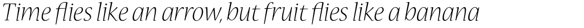 Nueva Std Light Italic