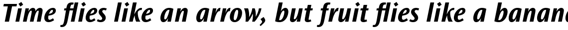 Ocean Sans Std Bold Italic