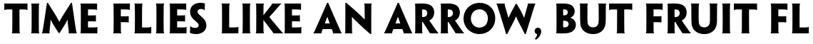 Penumbra Flare Std Bold
