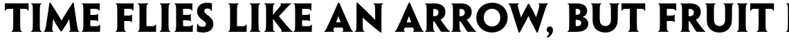 Penumbra Half Serif Std Bold