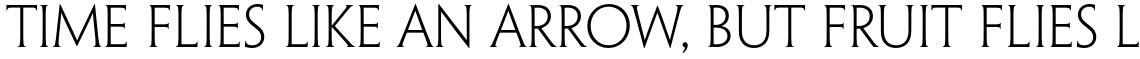 Penumbra Half Serif Std Light