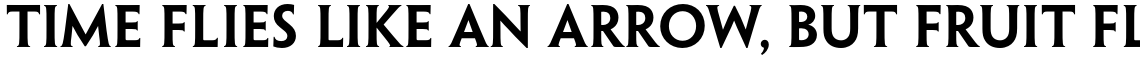 Penumbra Half Serif Std SemiBold