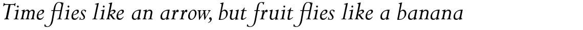 Perpetua Pro Italic