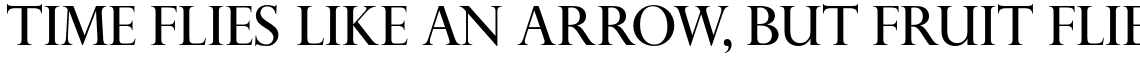 Perpetua Pro Titling Roman