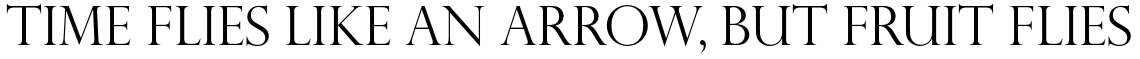 Perpetua Pro Titling Light