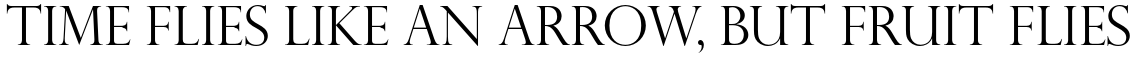 Perpetua Std Titling Light