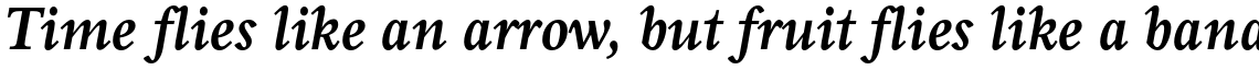 Perrywood Std Condensed Bold Italic