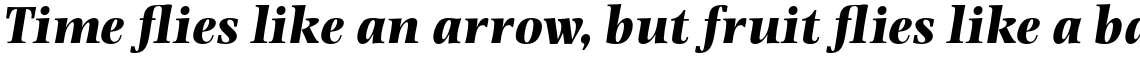 Photina Pro Bold Italic