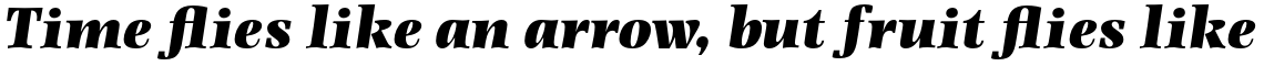 Photina Pro Ultra Bold Italic