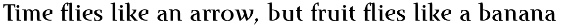 Runa Serif Std Medium