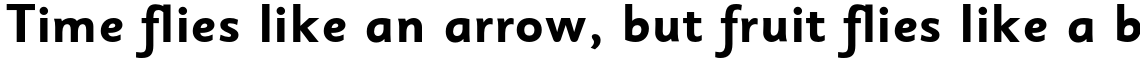 Sassoon Sans Std Bold