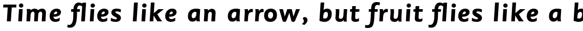 Sassoon Sans Slope Std Bold