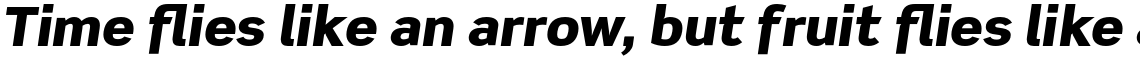 Scene Pro Black Italic