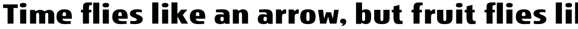 Storm Sans Std Bold