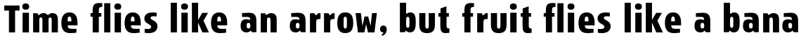 Storm Sans Std Condensed Bold