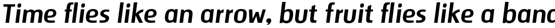 Storm Sans Std Italic