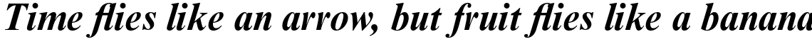 Times New Roman Std Bold Italic