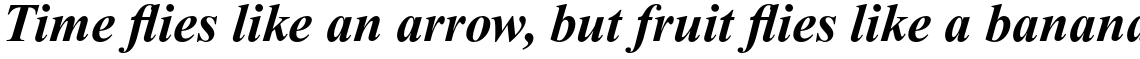 Times New Roman Std PS Bold Italic