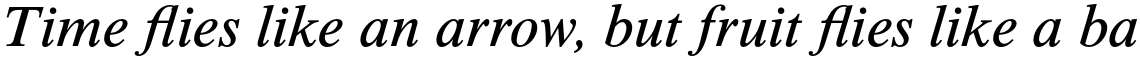 Times New Roman Std Seven Italic