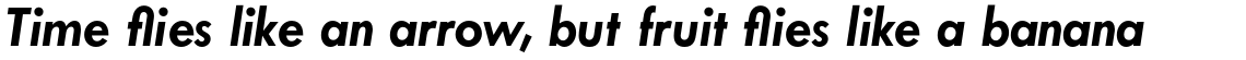 Twentieth Century Std Bold Italic