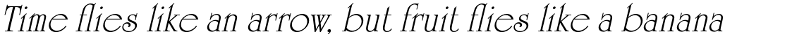 University Roman Std Italic