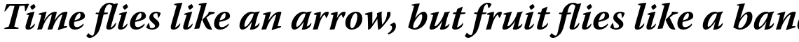 Warnock Pro Bold Italic