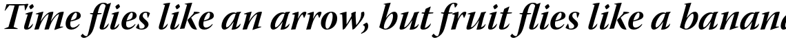 Warnock Pro Bold Italic Subhead
