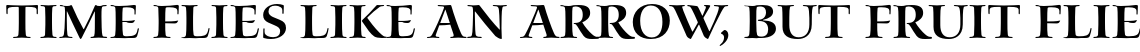 Waters Titling Pro Semibold