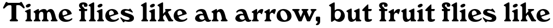 Windsor Std Bold