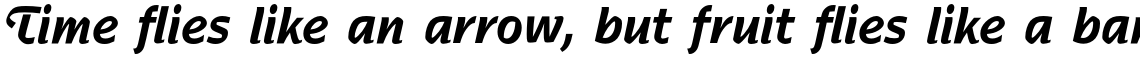 Nadianne Pro Bold Condensed