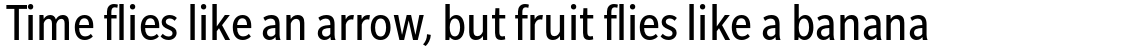 Slate Pro Condensed