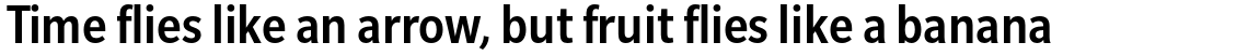 Slate Pro Condensed Medium