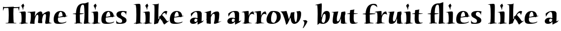 ITC Humana Serif Pro Bold