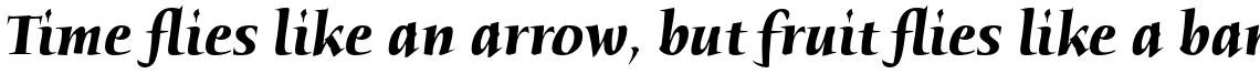ITC Humana Serif Pro Bold Italic