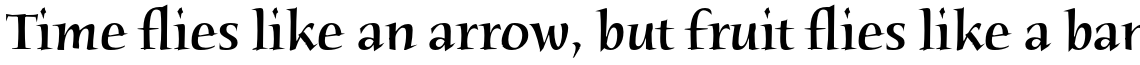 ITC Humana Serif Pro Medium